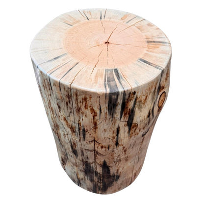 Woodland Scene Stump End Table, Hand-Burned Wood Plant Stand, Rustic Lodge Décor