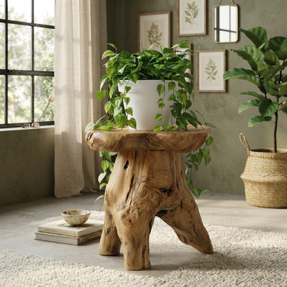Natural Cedar Stump Stool, Live Edge Side Table