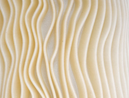 Bio Shroom Ribbed Pendant Lamp with Organic 3D-Printed Shade