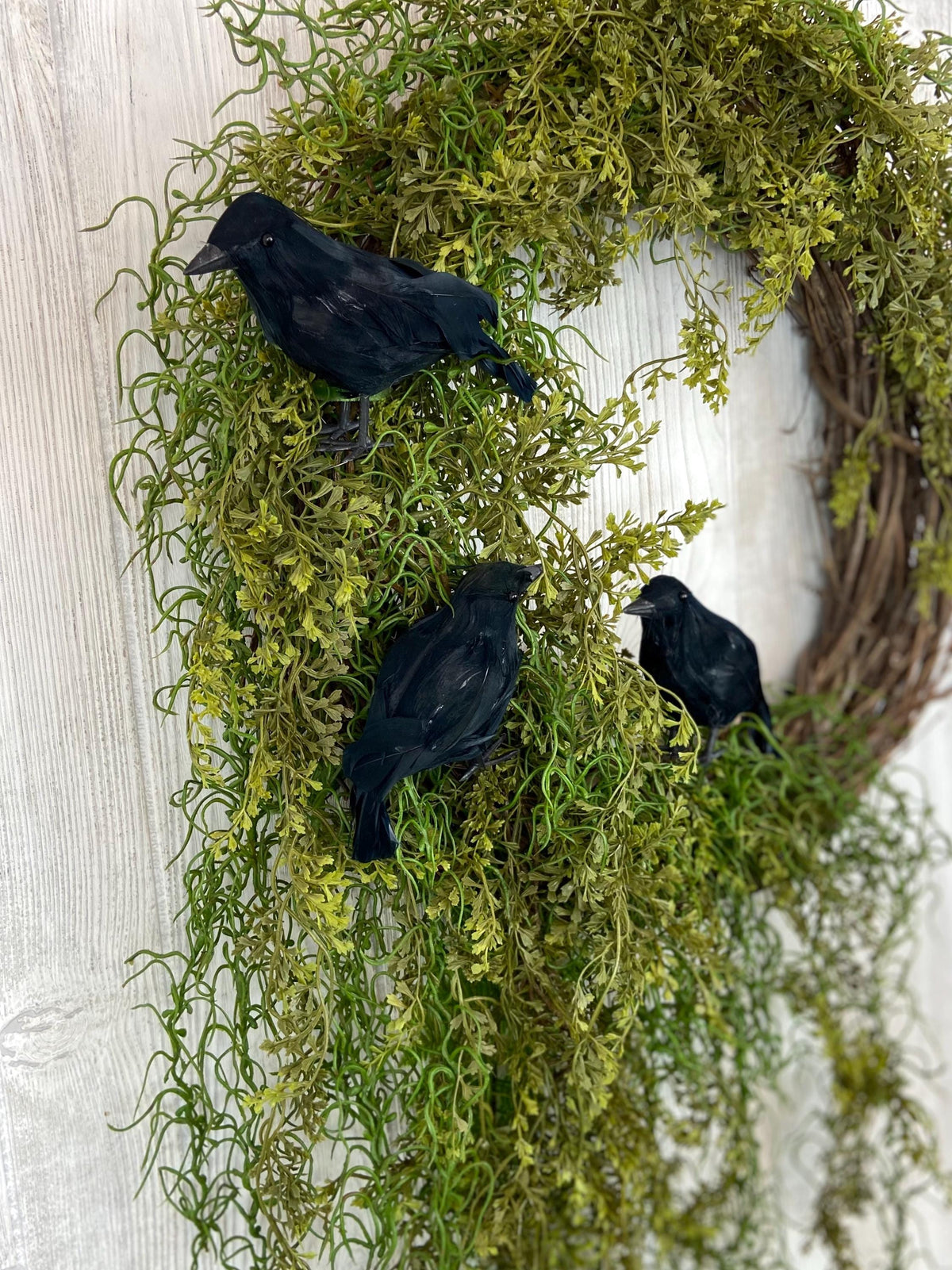 Halloween Enchanted Raven Wreath,Moody Spanish Moss Front Door Decor,Boho Fall Wreath,Eerie Halloween Mossy Wreath,Cottage Core Crow Wreath