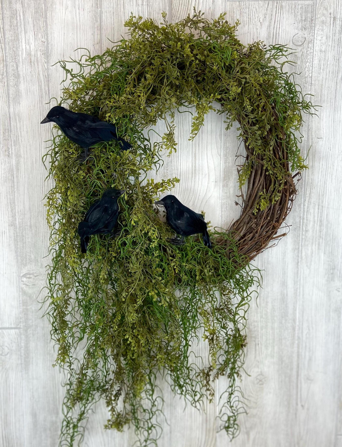 Halloween Enchanted Raven Wreath,Moody Spanish Moss Front Door Decor,Boho Fall Wreath,Eerie Halloween Mossy Wreath,Cottage Core Crow Wreath