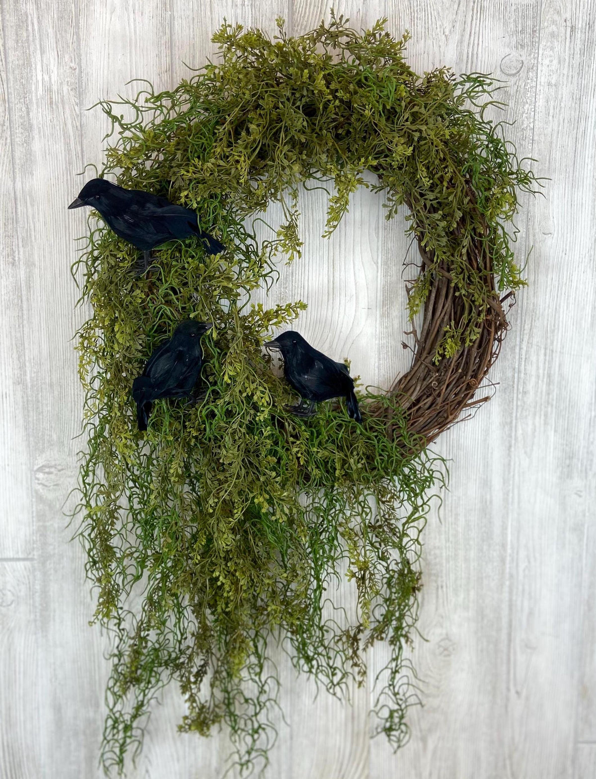 Halloween Enchanted Raven Wreath,Moody Spanish Moss Front Door Decor,Boho Fall Wreath,Eerie Halloween Mossy Wreath,Cottage Core Crow Wreath