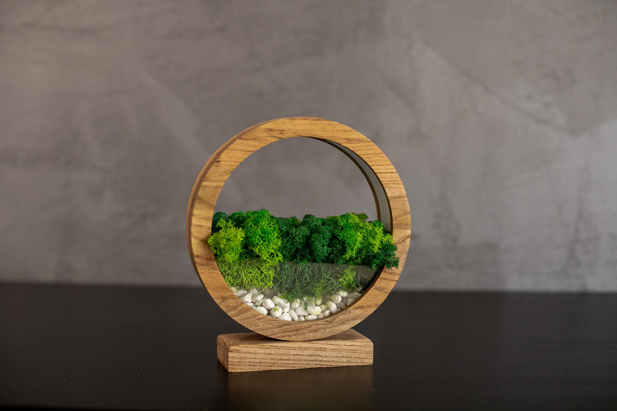 Round Wood Table Lamp with Preserved Moss |  Scandinavian Night Light | Biophilic Decor
