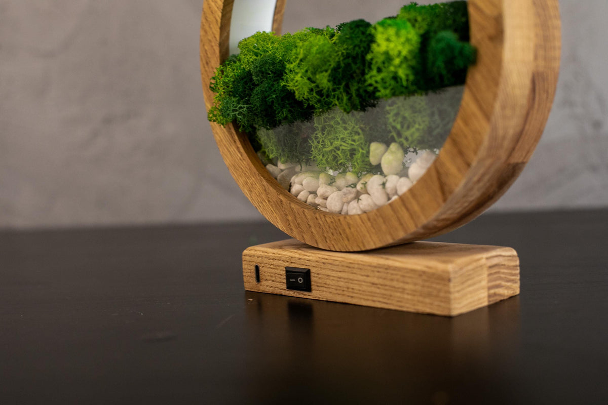 Round Wood Table Lamp with Preserved Moss |  Scandinavian Night Light | Biophilic Decor