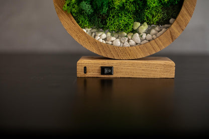 Round Wood Table Lamp with Preserved Moss |  Scandinavian Night Light | Biophilic Decor