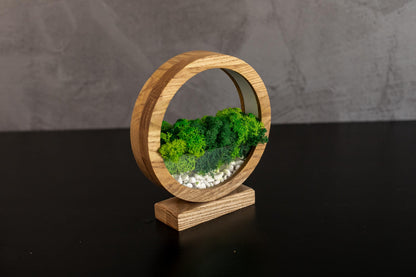 Round Wood Table Lamp with Preserved Moss |  Scandinavian Night Light | Biophilic Decor