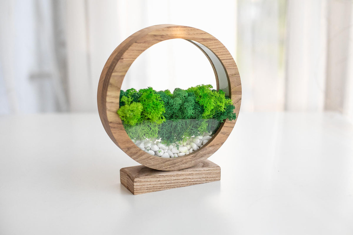 Round Wood Table Lamp with Preserved Moss |  Scandinavian Night Light | Biophilic Decor