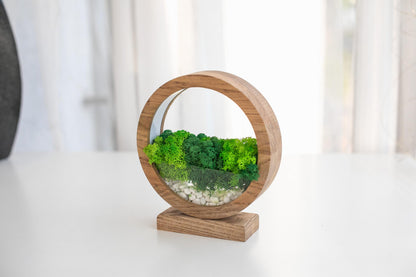 Round Wood Table Lamp with Preserved Moss |  Scandinavian Night Light | Biophilic Decor