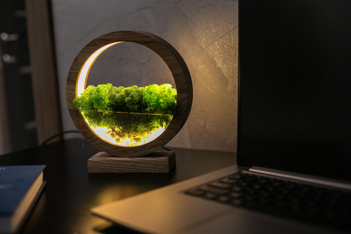 Round Wood Table Lamp with Preserved Moss |  Scandinavian Night Light | Biophilic Decor