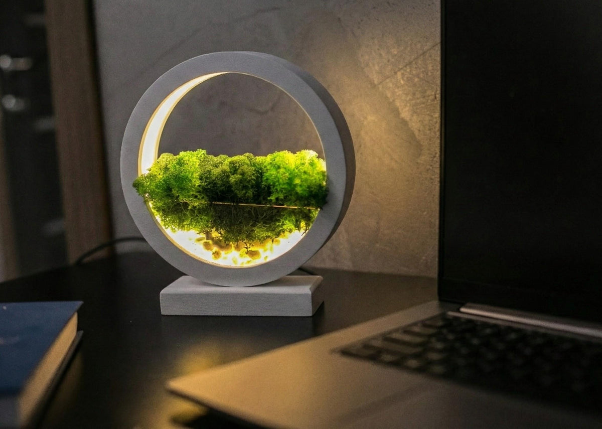 Round Wood Table Lamp with Preserved Moss |  Scandinavian Night Light | Biophilic Decor