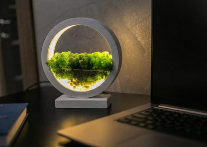 Round Wood Table Lamp with Preserved Moss |  Scandinavian Night Light | Biophilic Decor