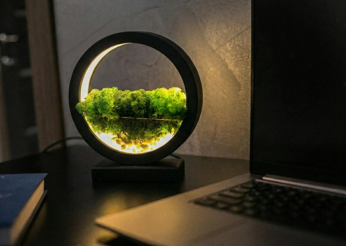 Round Wood Table Lamp with Preserved Moss |  Scandinavian Night Light | Biophilic Decor