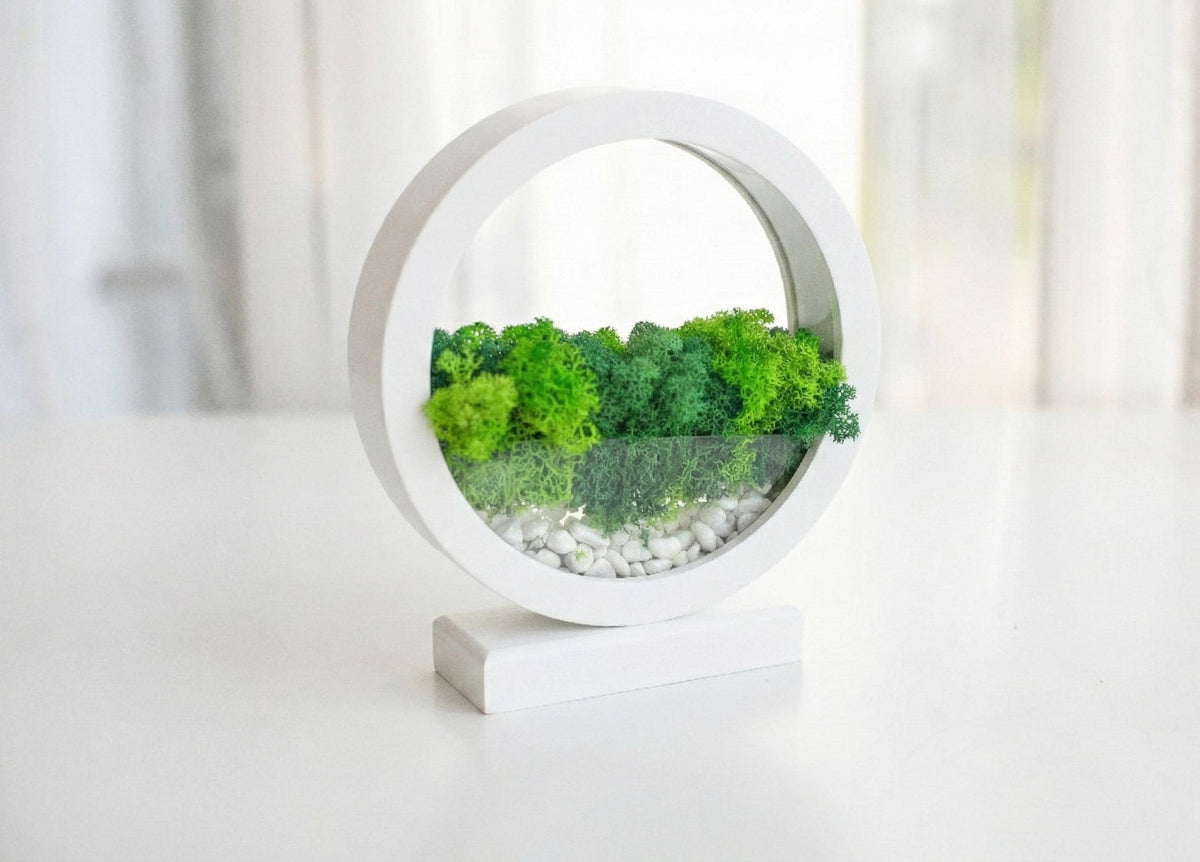 Round Wood Table Lamp with Preserved Moss |  Scandinavian Night Light | Biophilic Decor