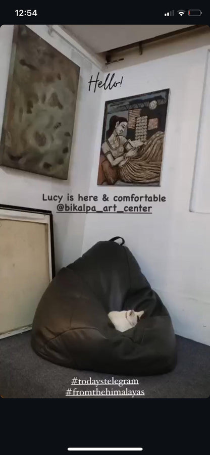 Pure Leather Bean Bag Chair | Rustic Handmade Lounger (Cover Only)
